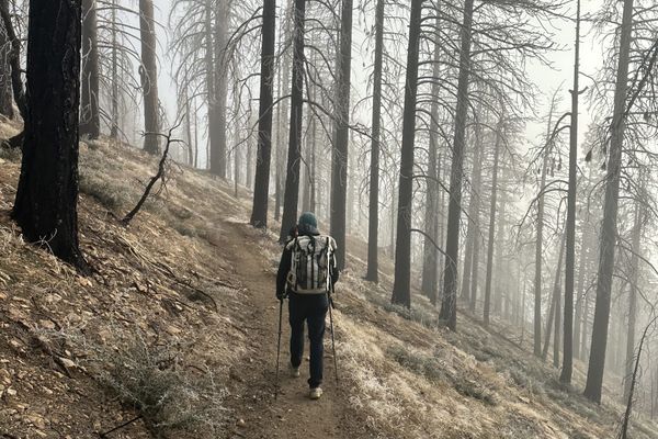 PCT Days 20 to 29 – Finally Getting Trail Legs