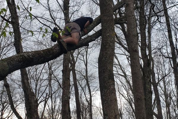 Day 42 – The Trouble with Bear Hangs