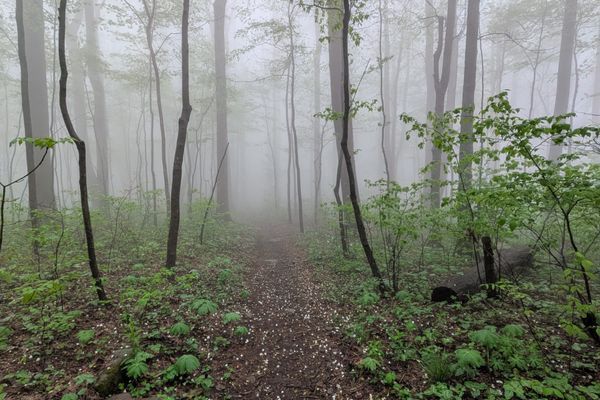 Days 2-4: Life on The Appalachian Trail Is, Well, Wet