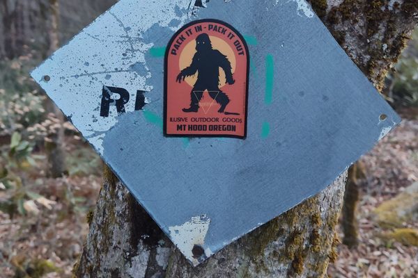 Pushing to Our Limits on the Appalachian Trail