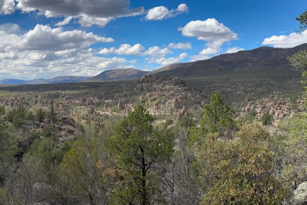 Days 11-15: The Start of the Gila and Trail Days