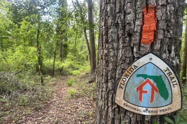I Left the Florida Trail Early Three Times for Three Different Reasons.  I’m Not Going to Let Heat Send Me Home This Time.