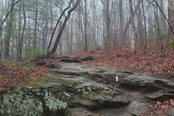 Day 3 SASH #10: Hawk Mountain Shelter to Gooch Mountain Shelter, GA – Rainy Day in Georgia
