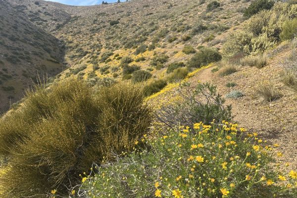 Acton to Tehachapi – Bad Weather and Angry Mice