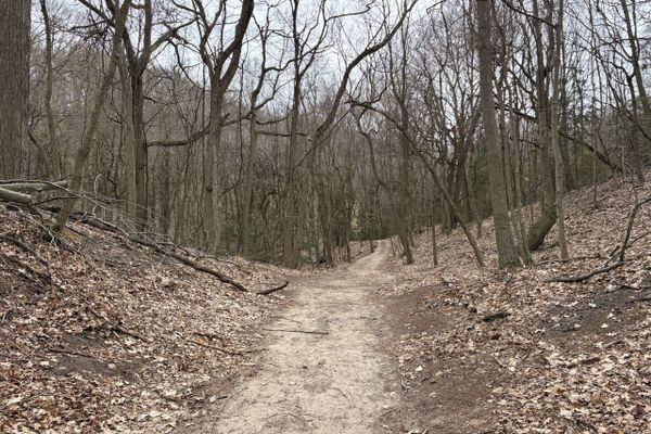 From Foot Surgery to Flip-Flop: A Thru-Hiker’s Detour
