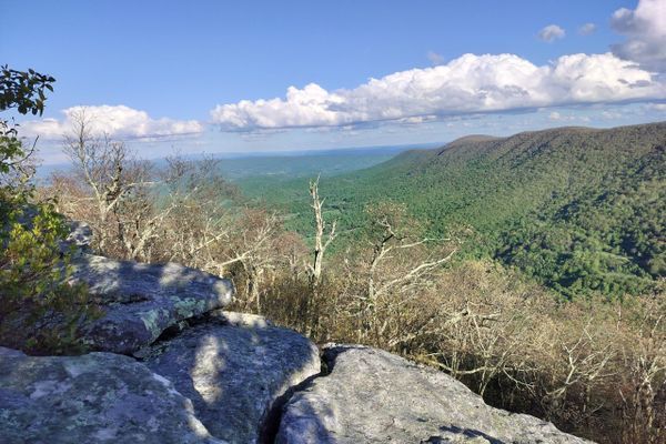 Into Virginia (days 19-34)