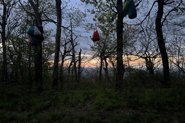 Georgia Musings