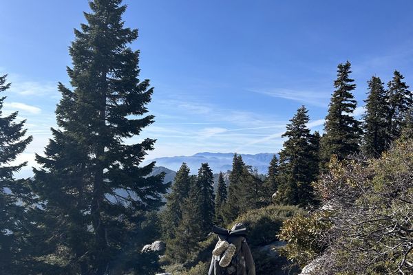 Magic on the PCT Day 16-18