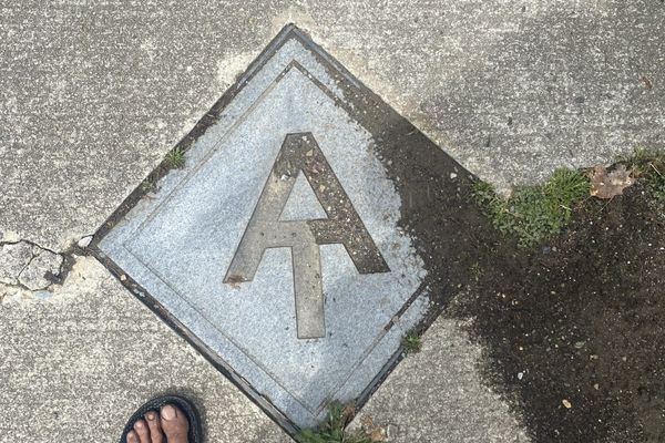 Gotta Let The Dawgs Breathe: Why I’m Thru-Hiking in Sandals