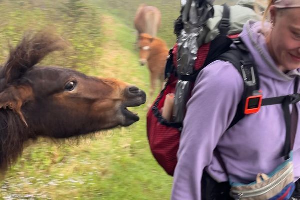 Ponies, Electrolyte Scaries, Damascus – Week 6 AT