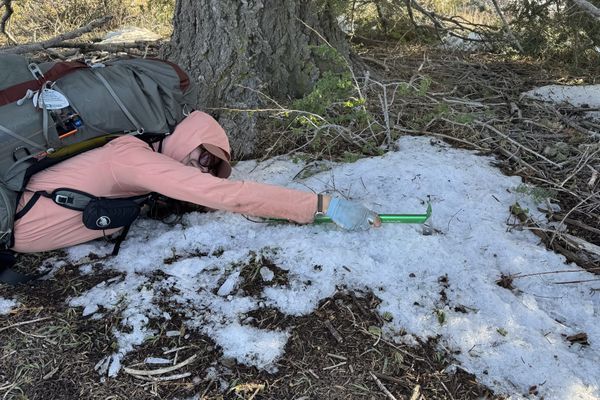 Snakes, Snow, and Sweat