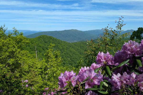 57 Miles From Daleville to Glasgow (ECT Days 129 – 131)