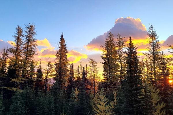 Pre-PCT: Reflections and Reconnecting with the Magic of Trail