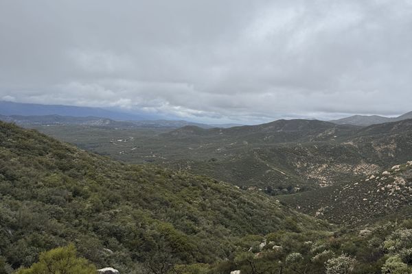 Hobbits, Rainclouds & Mouse Drama