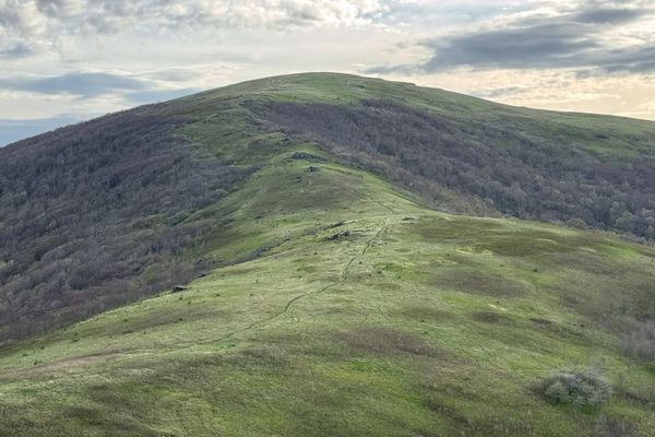 Nine Kayaks and an Ax; Week Five on the AT