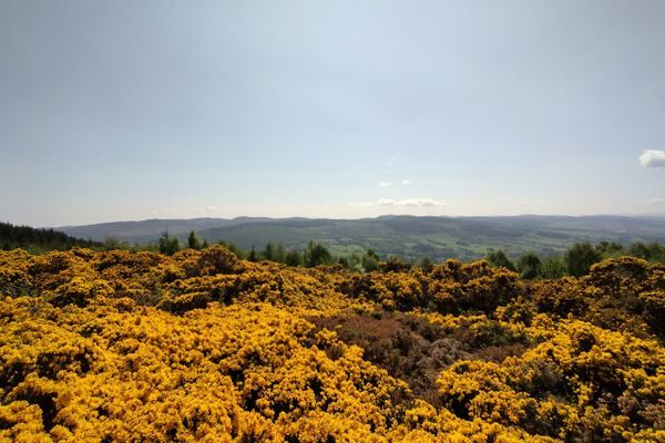 A Scottish Story – Day 17, Why must we have these “life lessons”?