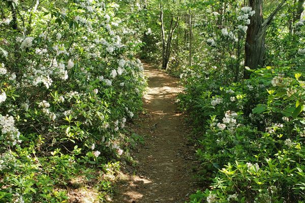 The Benefits of an Erratic Journey