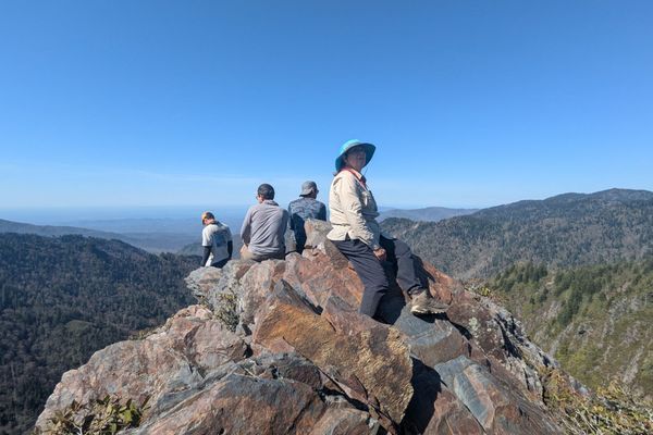 The Smokies Gave Me Writer’s Block: AT days 15-19