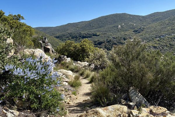 Emotions and experiences on the first 275 miles of the PCT