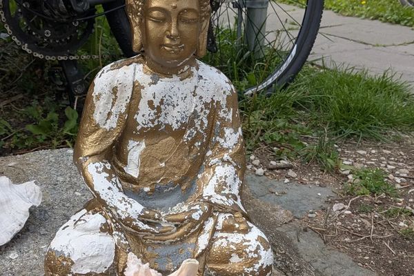 (#1) From Nomadic Awakenings to Appalachian Spirit Blazing