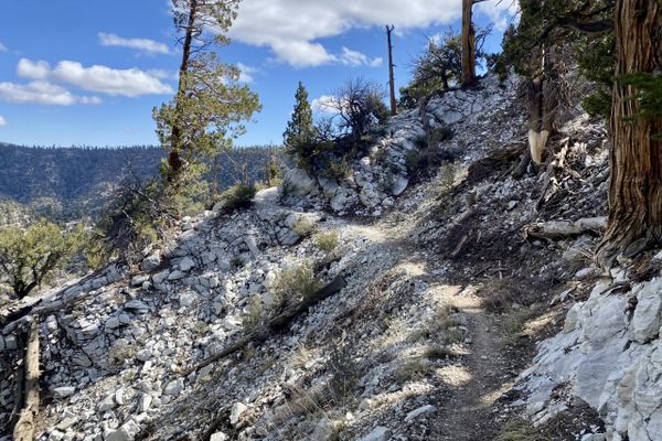Week 3 on the PCT: the vanishing trail