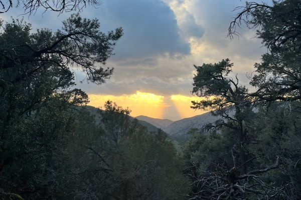 65 MPH Wind For 24 Miles on the PCT