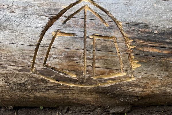 From the POD to the Peaks: Why I’m Still Walking
