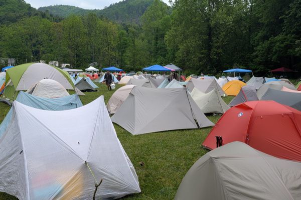 On the Nature of Trail Days and the Kingdom Beneath the Canopy
