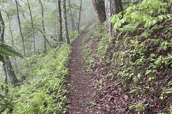 Memories of my Spring Hike