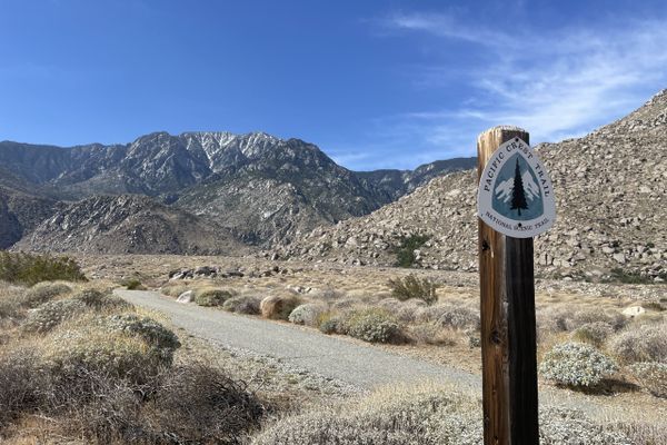 Week 2 on the PCT!