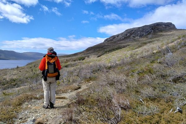 Pushing Limits in Gros Morne: My Final Elevation Training Before the Long Trail