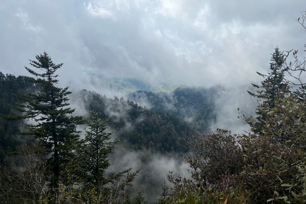 In Which Lilith Hikes the Smokies
