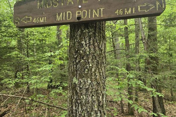 Thru-Hiking the Midstate Trail: Mud, Miles & A Little Tom Petty Wisdom