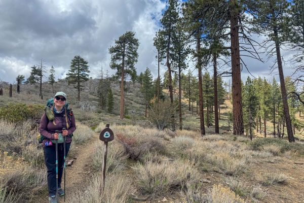 How lost tent poles lead to a fluffy encounter on the PCT