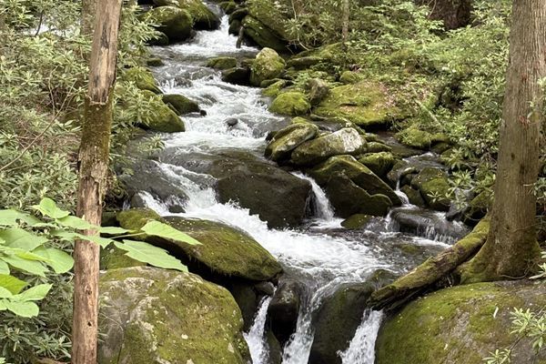 Did I Just Get a Trail Name in the Smokies?