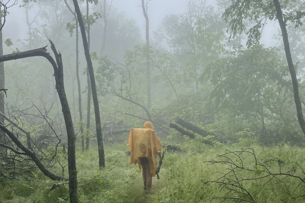 The Roadside