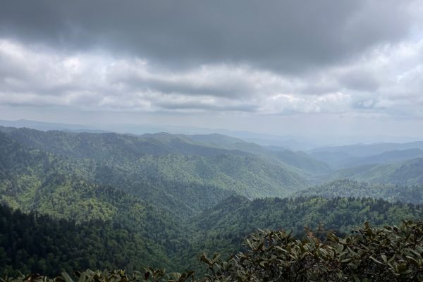 Smokies, and Rain, and Bears, Oh My!
