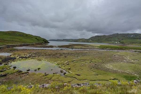 A Scottish Story – Day 37, Losers are sometimes grinners