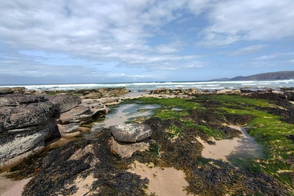 A Scottish Story – Day 38, The defining moment of seeing the salty sea!