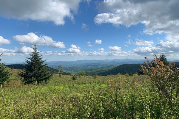 Week 8: Mountains, milkshakes and Marion