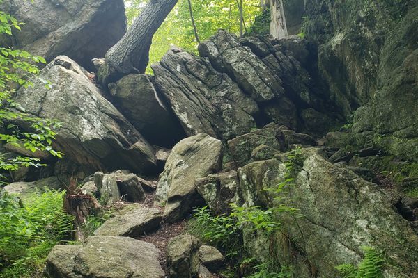 New York, Is that the Trail?