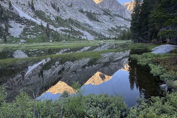 John Muir Was Right