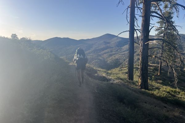 300 Mile PCT Update: Hobby Horsing our way to Canada