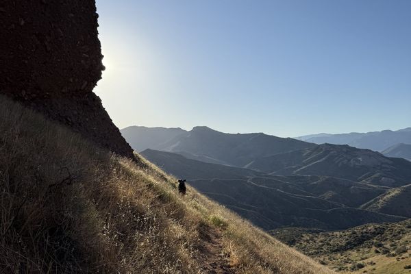 Heatwaves, Trail Legends, and Trail Magic