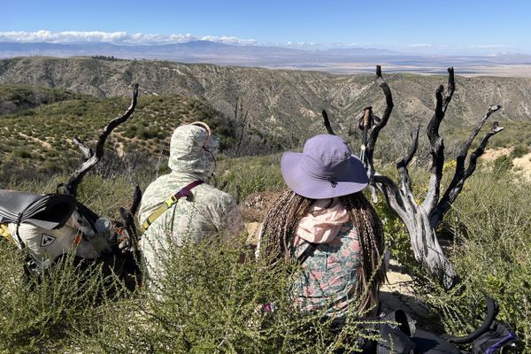 Burn Zones, Trail Names, and the Desert by Night