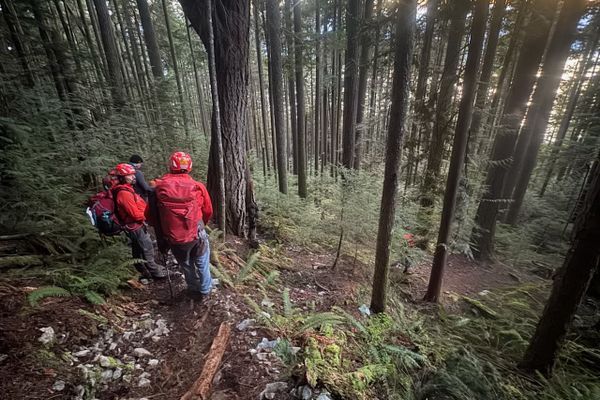They Trusted ChatGPT To Plan Their Hike — And Ended Up Calling for Rescue