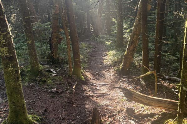 NY, CT, and MA… it’s getting steeper
