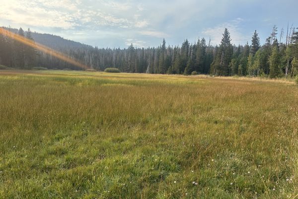 Why am I hiking the PCT?