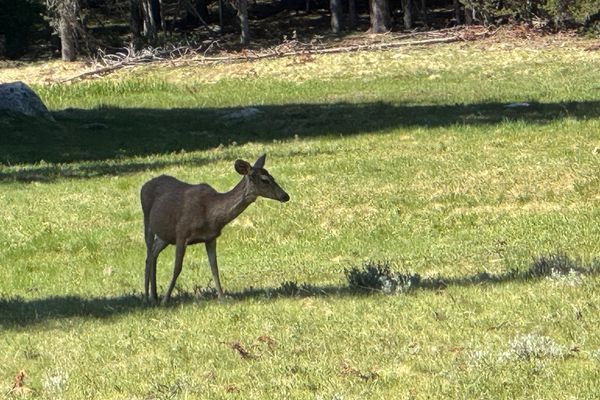 Day 58 – Taking Back the Trail