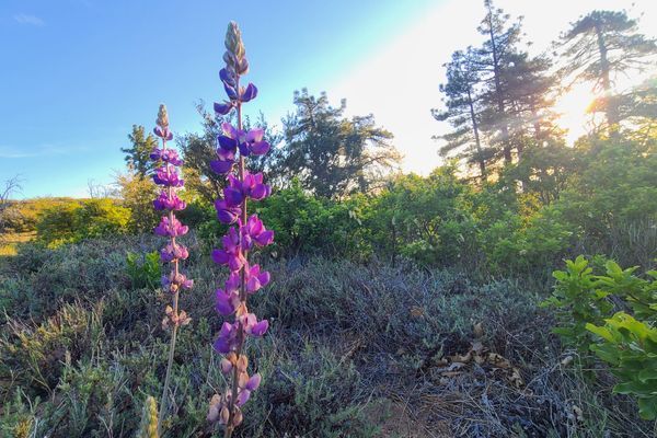 PCT: Reunification with Desertification